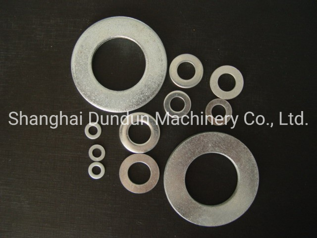 Carbon Steel /DIN125 /Standard Flat Washer and Spring Washer/Fastener/Washer/Plain Washer/Flat Washer/Dacromet/Zp/Stainless Steel