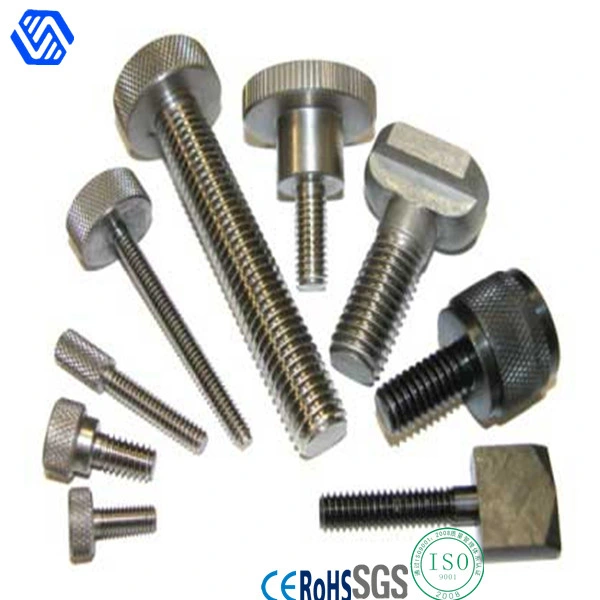 Thumb Screw, Computer Screw with Competitive Price