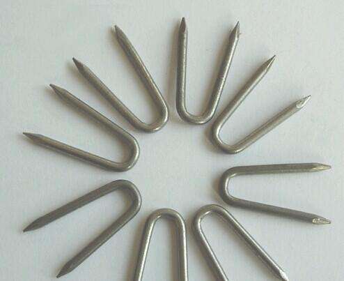 Flat Point Fence Staples Bright Smooth Common U-Type Nails for Sale