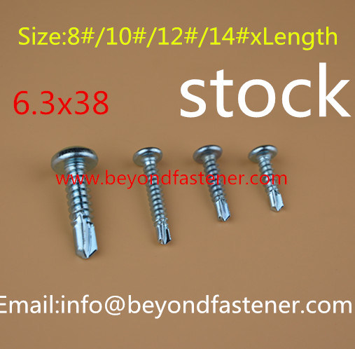 Self Drilling Screw /Roofing Screw/ Tek Screw Drill Point Screw Self-Tapping Screw