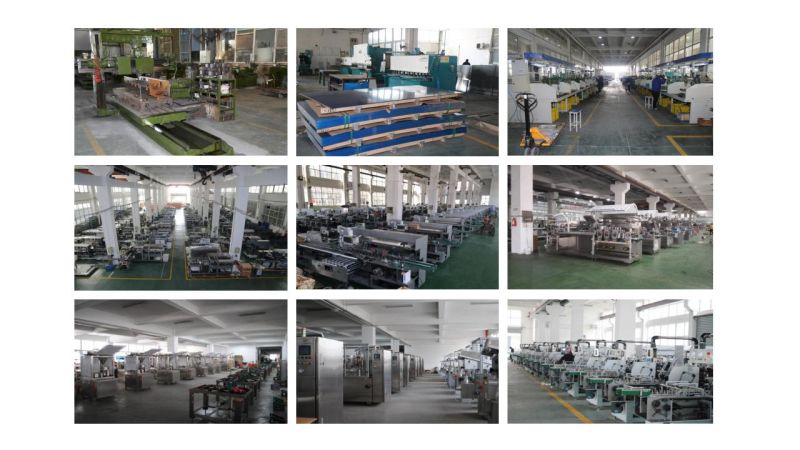 Walnuts / Peanuts / Sunflower Seeds / Pistachio / Almonds Hard Nuts Bag in Bag Automatic Premade Bag Packing Machine