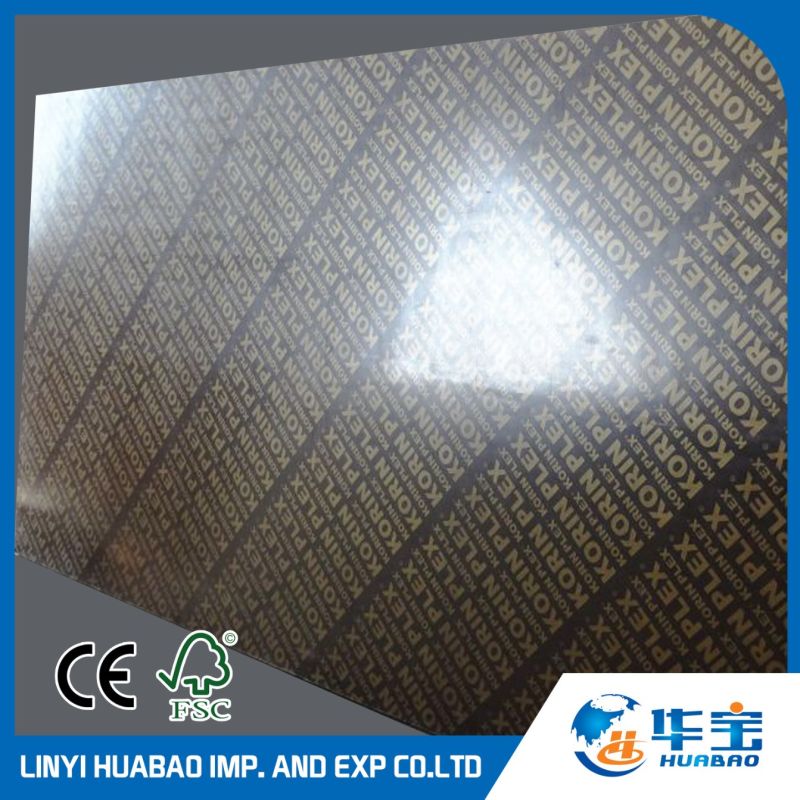 Black Film Faced Plywood/Film Faced Plywood (BF006) for Shuttering