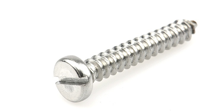 #8 SS304 Slotted Pan Head Self Tapping Screw