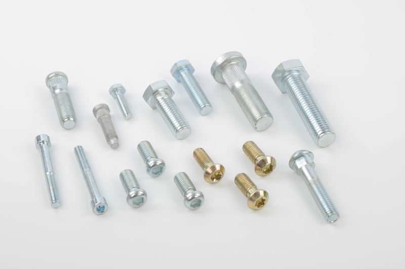 T Bolt Square Head Bolt Grade 8.8 Zinc Plated, SS304 Stainess Steel Bolt