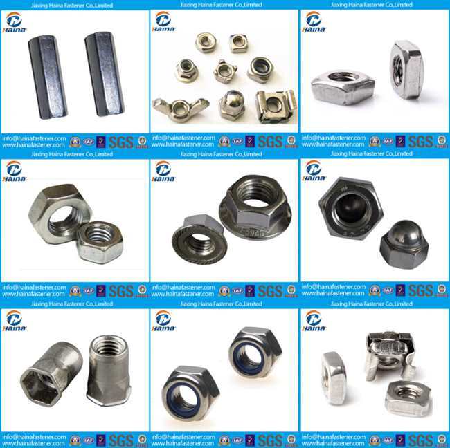 Stainless Steel SS304 SS316 A2 A4 DIN934 DIN985 DIN6923 DIN1587 Hex Flange Nut Nylon Lock Nut Cap Nut Hex Nut in Stock