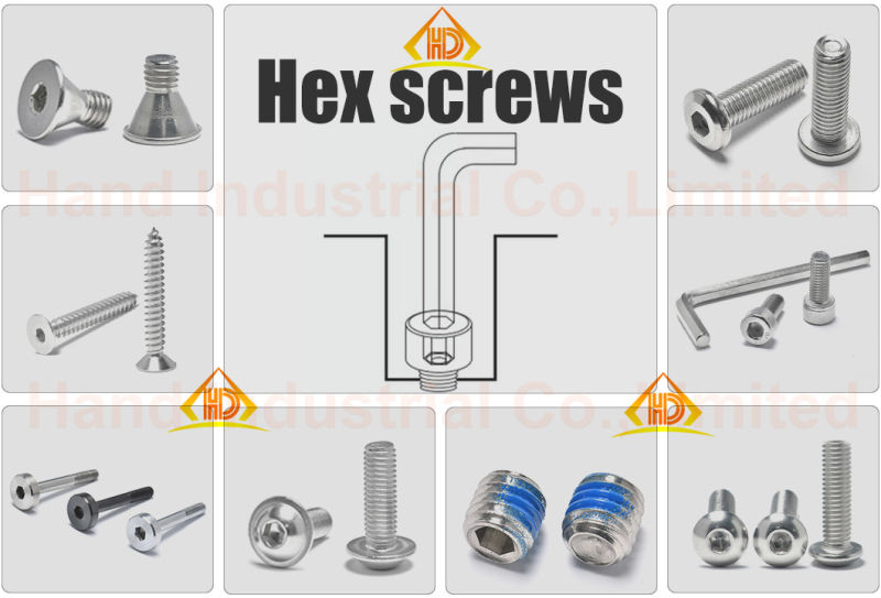 Stainless Steel 304 Wood Screw Deck Screw for Laptop
