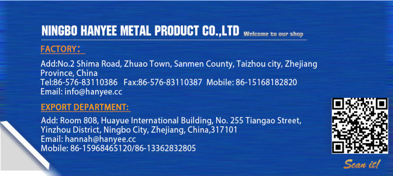 ISO 9001 China Manufacturer Brass Flat Head Hollow Blolt