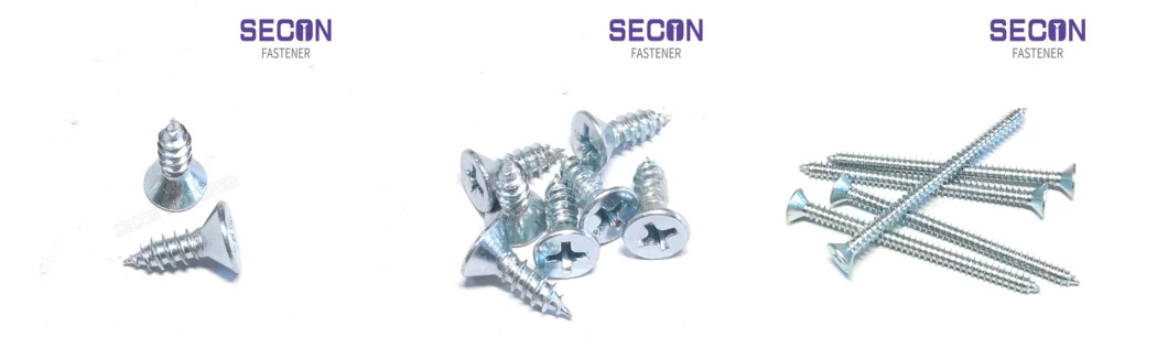China Export Factory Zinc Flat Head Self Tapping Screw with Plastic Washer