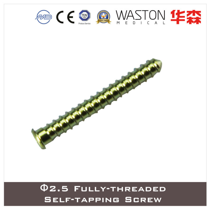 Titanium Locking Screw, Titanium, Fracture Orthopedic Screws, Self-Tapping Screws