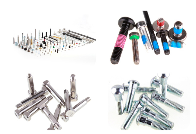 Custom Slotted Thumb Stainless Steel Special Head Screw