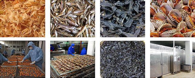 Dried Fish Processing Machine, Fish Dehydrator, Fish Dryer