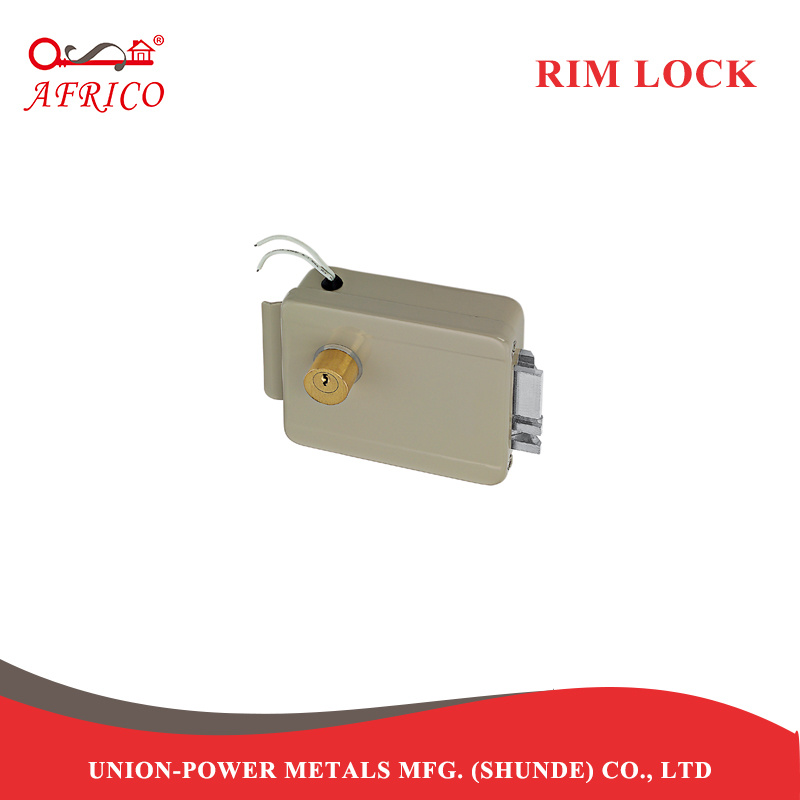 Smart Lock Electric Rim Lock Electronic Lock Cylinder Door Lock