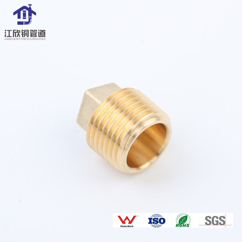 Dzr Brass Stop End Cap Thread Pipe Fitting Hex Plug Brass Pipe Fitting