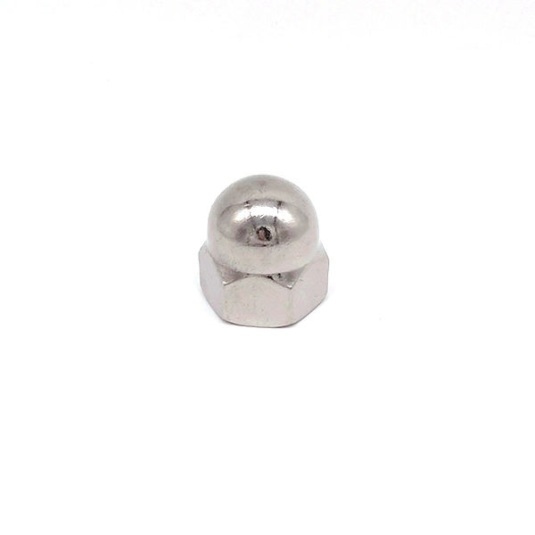 A2 Stainless Steel M20 M22 M24 DIN1587 Hexagon Domed Acorn Nut
