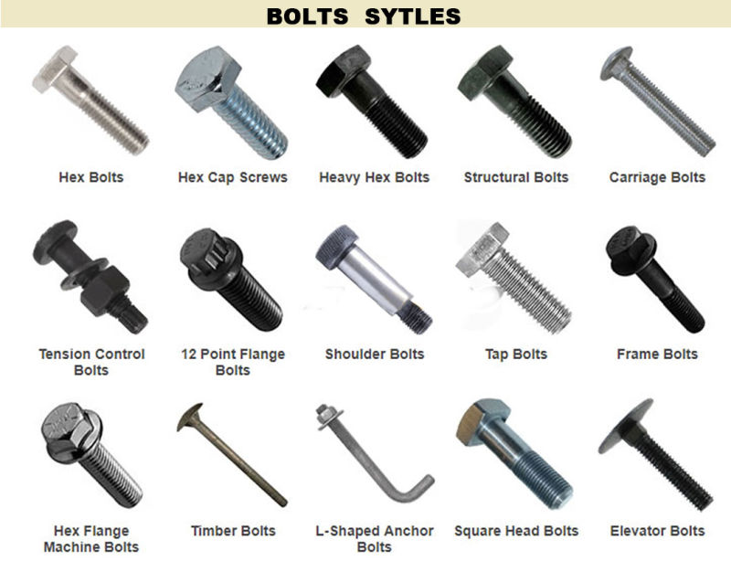 Carbon Steel /SS304/A2-70/DIN6921/DIN933/DIN931/Flange Bolt/Hex Bolt/Carriage Bolt/T Head Bolt/U-Bolt/Wedge Anchor Bolt