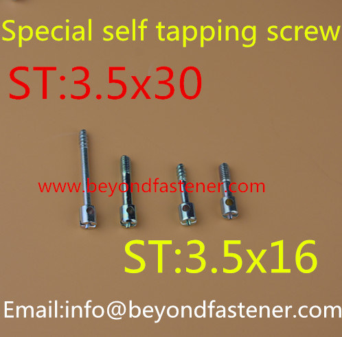 Special Screw Machine Bolts Screw/Terminal Cover Screw