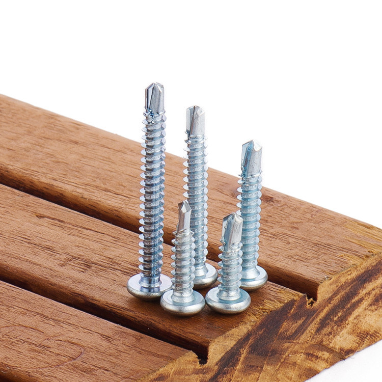 Stainless Steel Screw/Brass Wood Screw/Self Drilling Screw