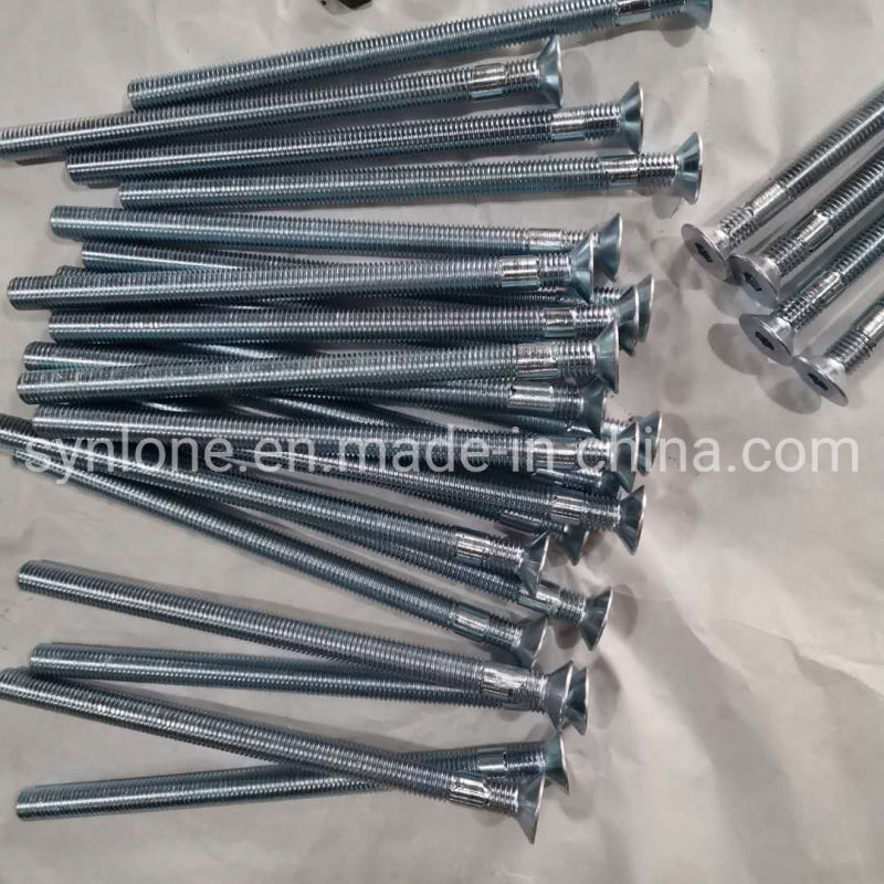 Customized Stainless Steel Self Tapping Screw/Driling Screw/Wood Screw for Machinery