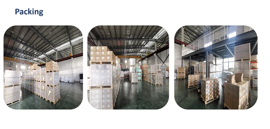 China Screw Supplier Hot Sales Galvanized Tornillo Black Drywall Screws Fine/Coarse Thread Gypsum Board Screw
