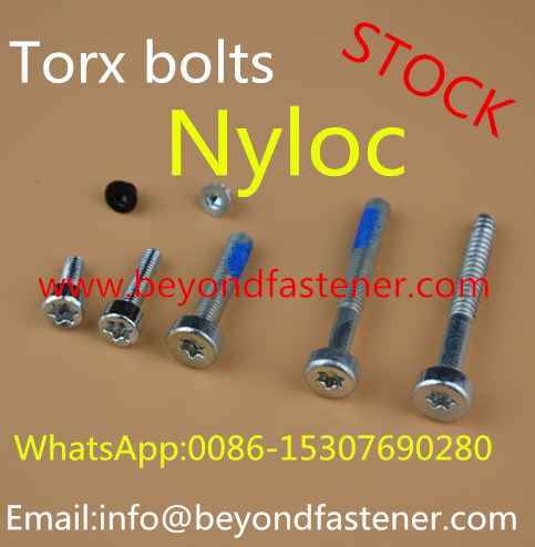 Patch Screw Nyloc Screw Nyloc Patch Screw/Bolts/Screw/Bolt