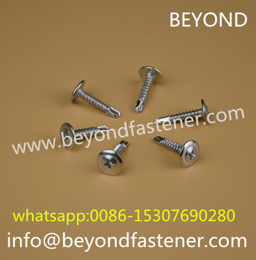 Screw Roofing Screw Hex Screw Bi-Metal Screw Tek Screw