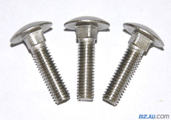 DIN603 Carbon Steel and Stainless Steel Carriage Bolts