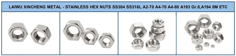 Stainless Steel DIN934 B8 B8m 304 316 Hexagon Nuts, High Quality Hexagon Nuts