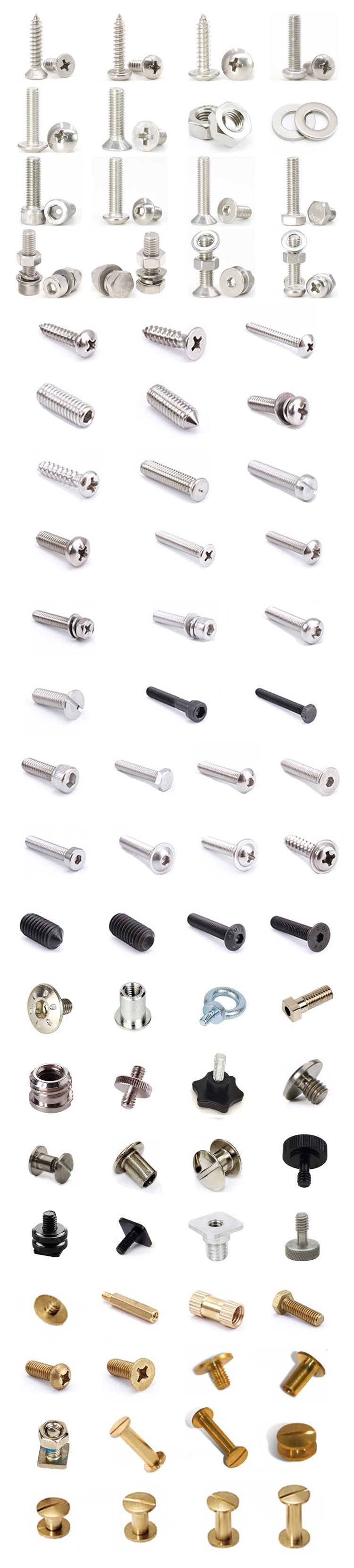 Stainless Steel Metric U Bolt with Plates U-Bolt Clamp