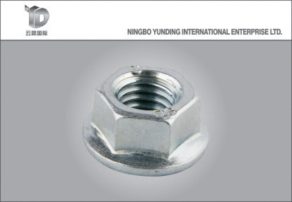 Wing Nut Wing Lock Nut