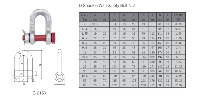 Hot-DIP Galvanized Steel Anchor D Shackle with Safety Bolt Nut