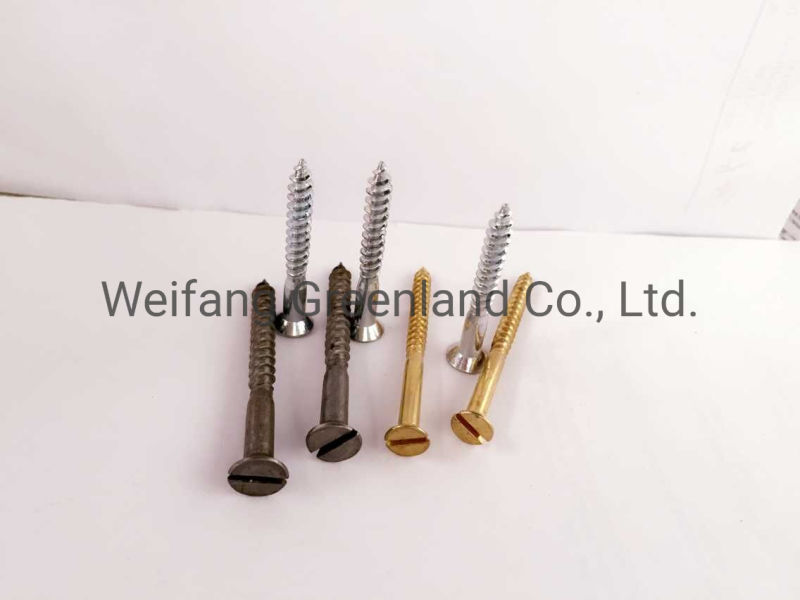 Slotted Sountersunk/Flat Head Wood Screws, Cross Recesed Oval Countersunk Head Wood Screws/Hex Lag Screws/Raised Countersunk Head Tapping Screws with Slot