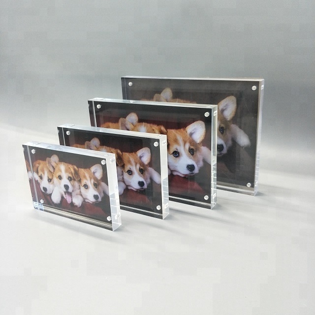 8 X 10 Inch Acrylic Photo Frame with Screws