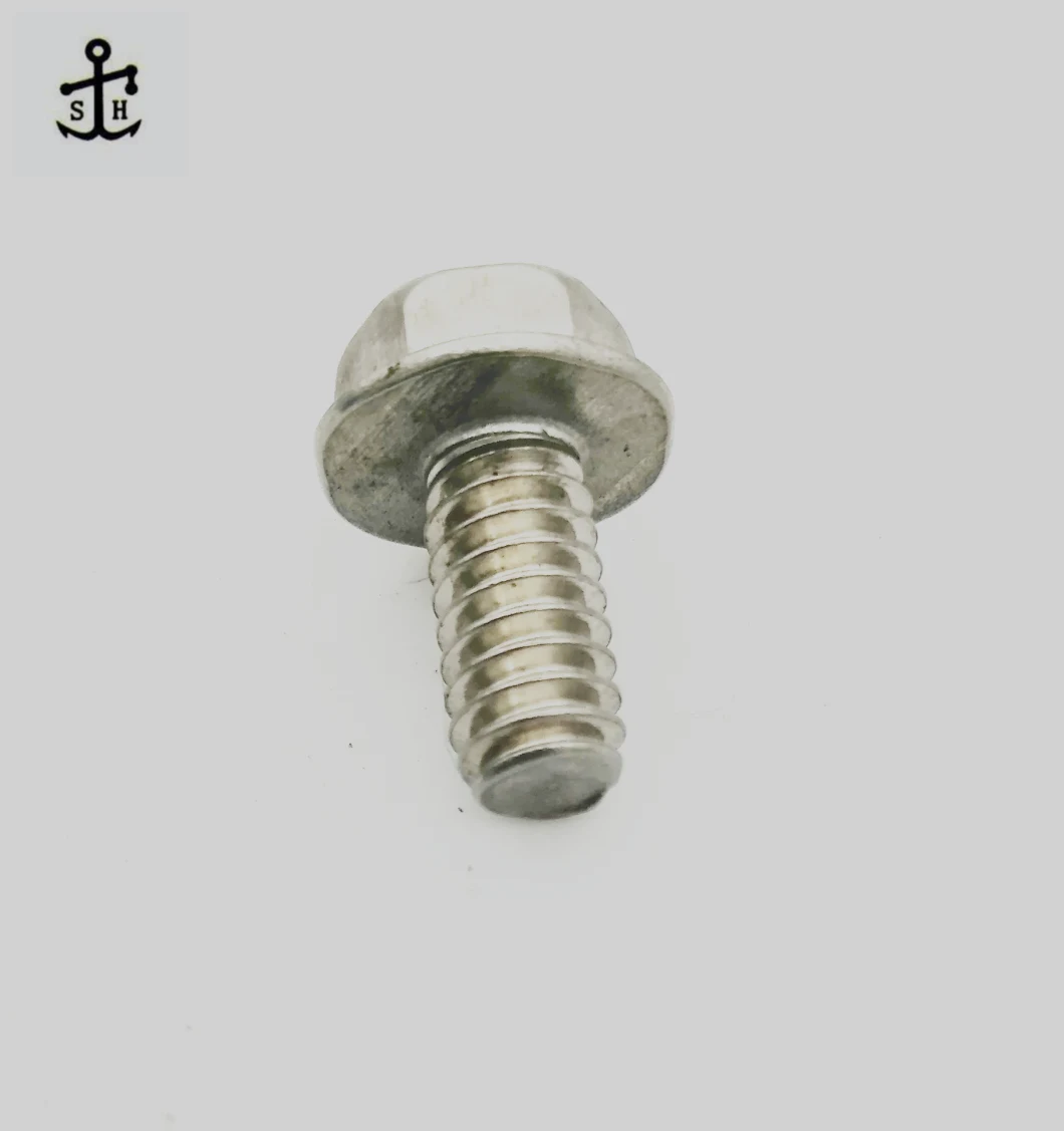 Stainless Steel SUS304 Ss Fasteners DIN 6921 Hexagon Flange Bolts M16 M20 Made in China
