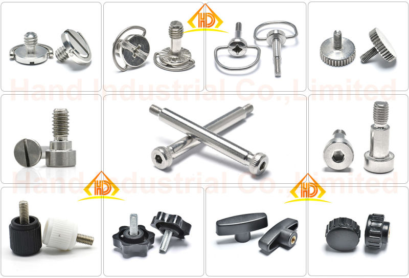 China Fasteners Ss 304 Stainless Steel Knurled Thumb Screws