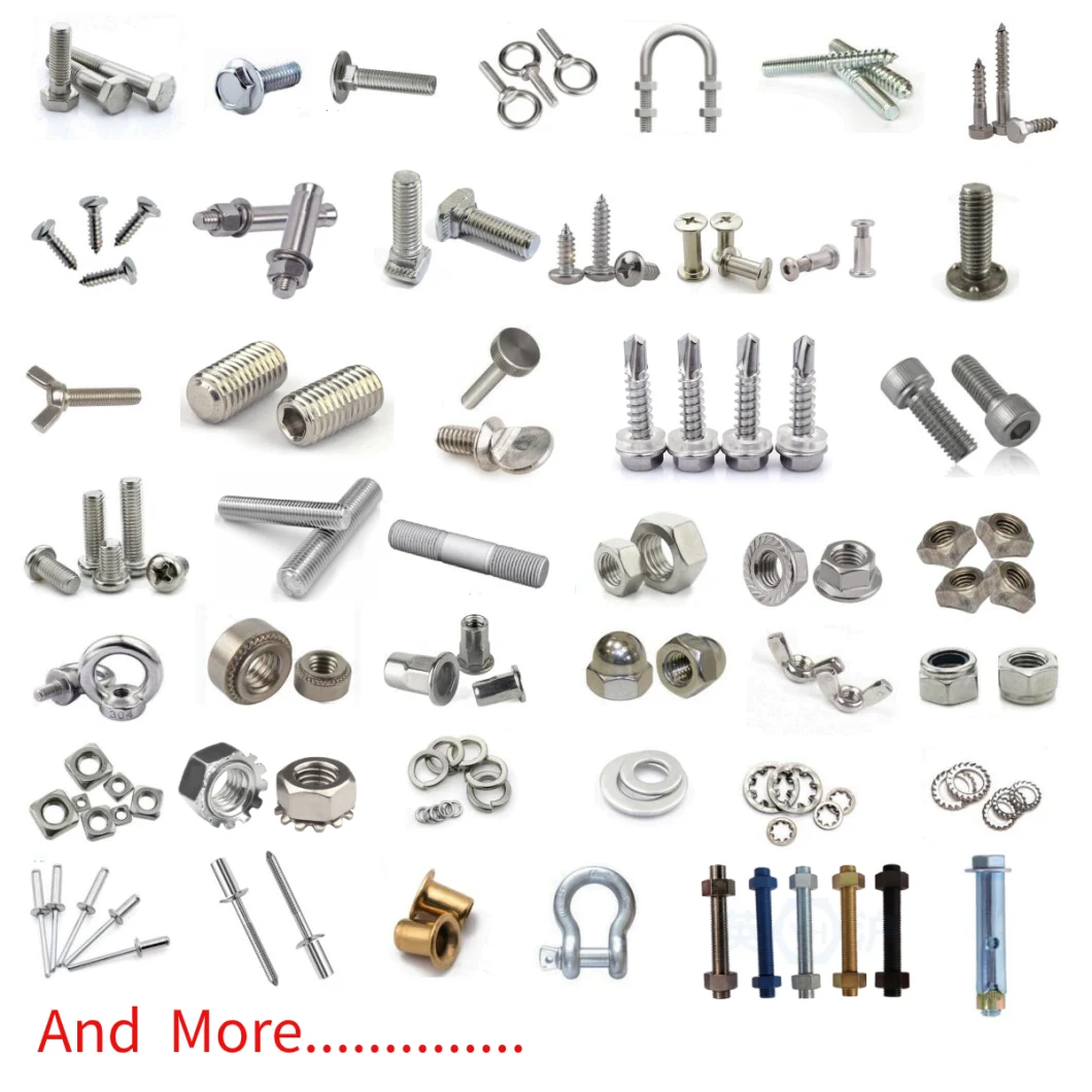 Hardware Fastener Galvanized Thickened Rivet Nut Furniture Connection Nut Flange Nut Nylon Nut Lock Nut