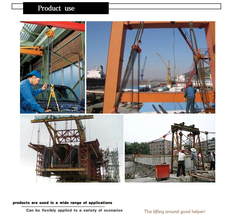 Construction Lifting Hoist 2 Ton 3 Meters Lifting Hoist