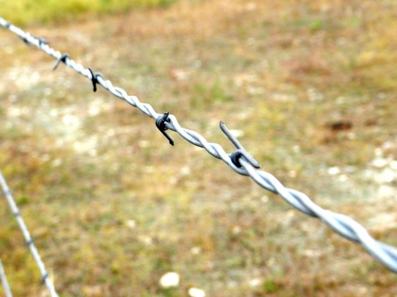 Hot Dipped Galvaznied Barbed Wire 7.5cm Barbed Wire Distance for Fence