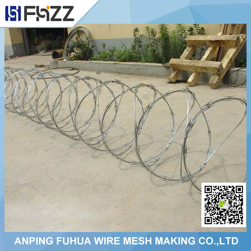 Factory Price Good Qulaity Concertina Razor Wire for Fence