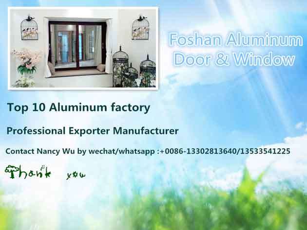 Aluminum Windows with Protection and Gauze for Exterior