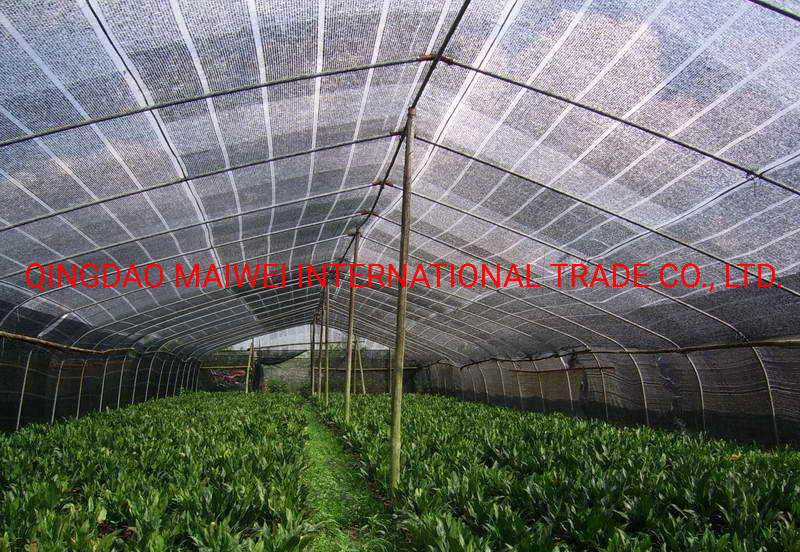 3-Needle Raschel Shade Net, Black Nets, Plastic Net, Sun Shade Net, Greenhouse Shade Net, Shade Net