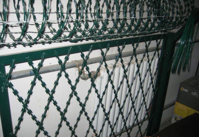 Cbt-65 & Bto-22 Razor Barbed Wire /Galvanized Barbed Wire Farm Fence