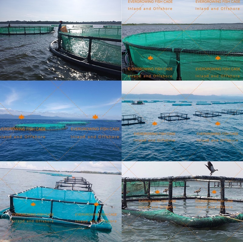 HDPE Circular Floating Farm Fish Cage Aquaculture Fishing Net