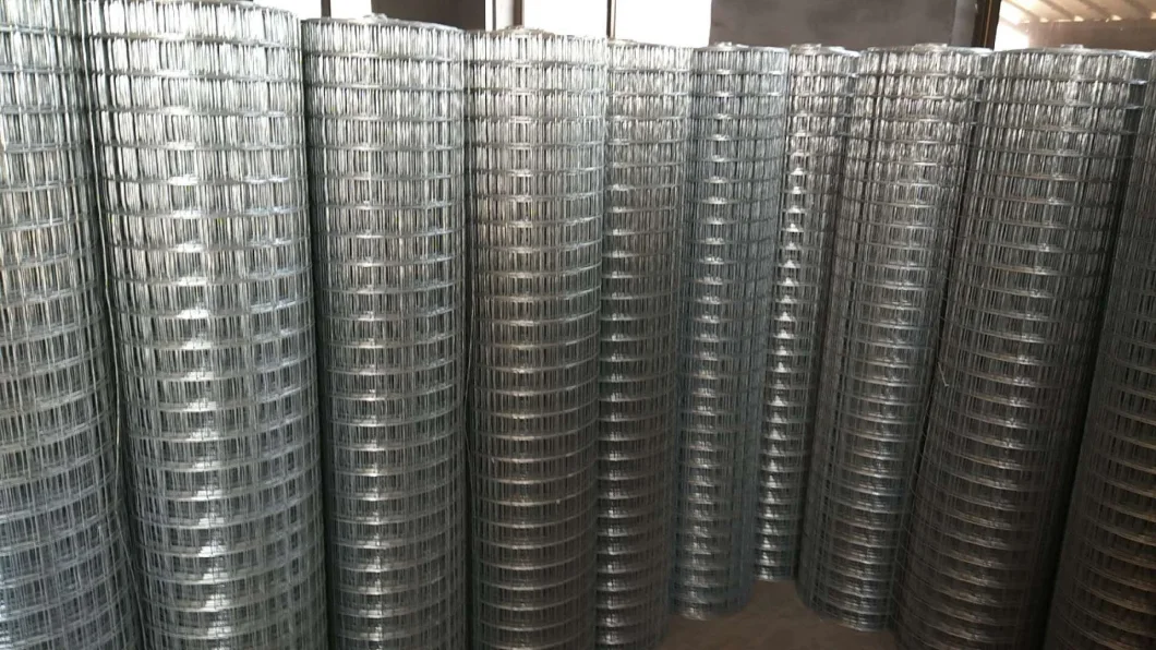 High Quality Square Wire Mesh 5X5cm Electro Hot Dipped Galvanized Welded Wire Mesh