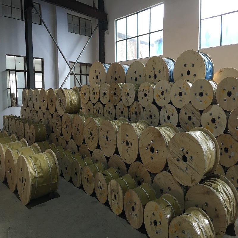 Electro Galvanized and Hot Dipped Galvanized Steel Wire Products