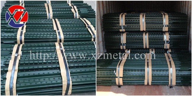 6FT Hot-DIP Galvanized Farm Fence Wire Netting