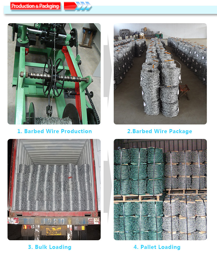 Barbed Wire Price Per Ton/Barbed Wire Roll Price Fence (ISO&CE&BV Certification)