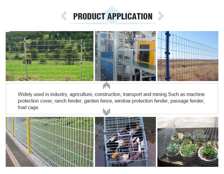 Galvanized Welded Wire Mesh/ PVC Coated Wire Mesh Fence