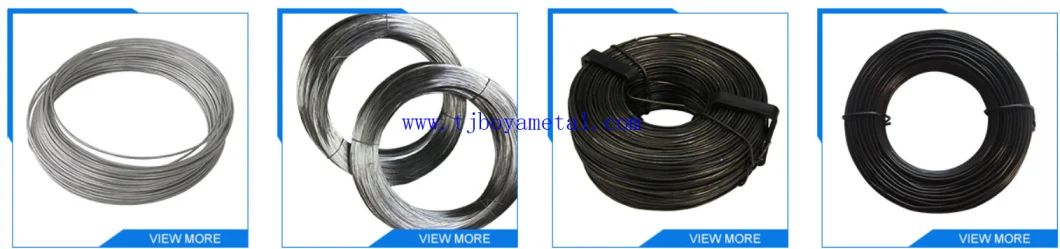 Cheap Price 1.8 mm Hot Dipped Galvanized Iron Wire/Binding Wire/Galvanized Wire/Tie Wire for Building and Construction