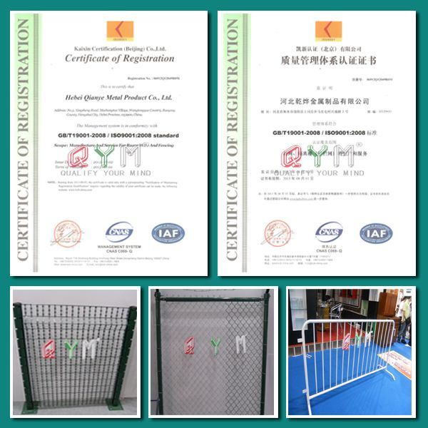 50X200mm Welded Fence/ Modern Garden Welded Mesh Fencing