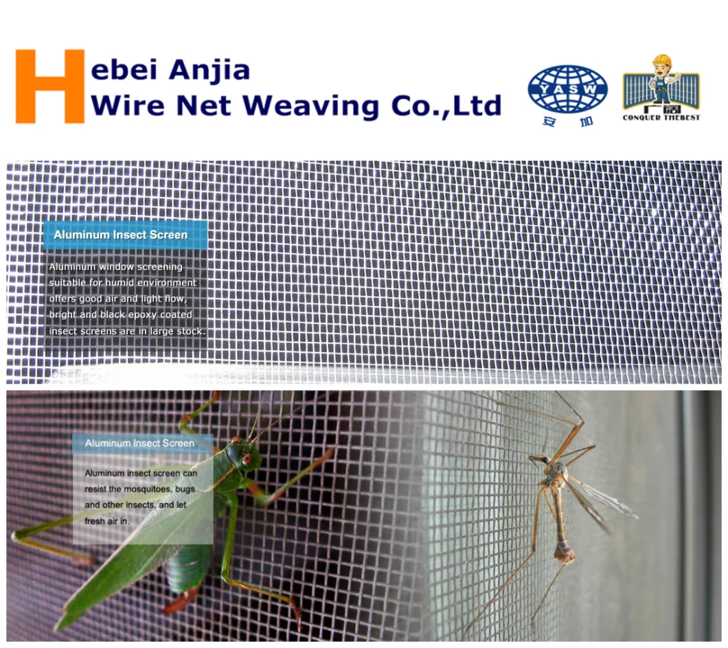 Aluminum Window Screen Square Wire Mesh with SGS From China Factory